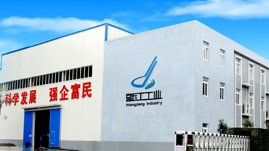 重庆望江.jpg